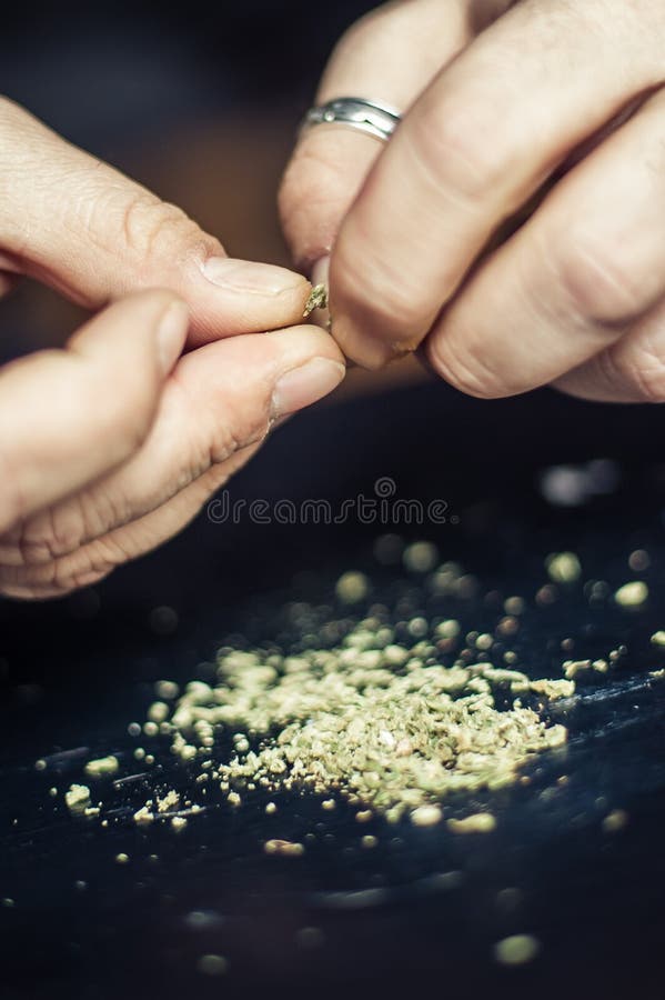 Подготавливать соединение конопли марихуаны Дает наркотики наркотической концепции стоковое фото rf Подготавливать соединение конопли марихуаны Дает наркотики наркотической концепции стоковое фото rf