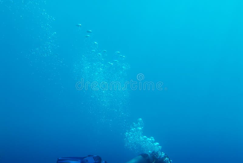 Air bubbles rising to the surface from a scuba diver in deep blue ocean. Air bubbles rising to the surface from a scuba diver in deep blue ocean.