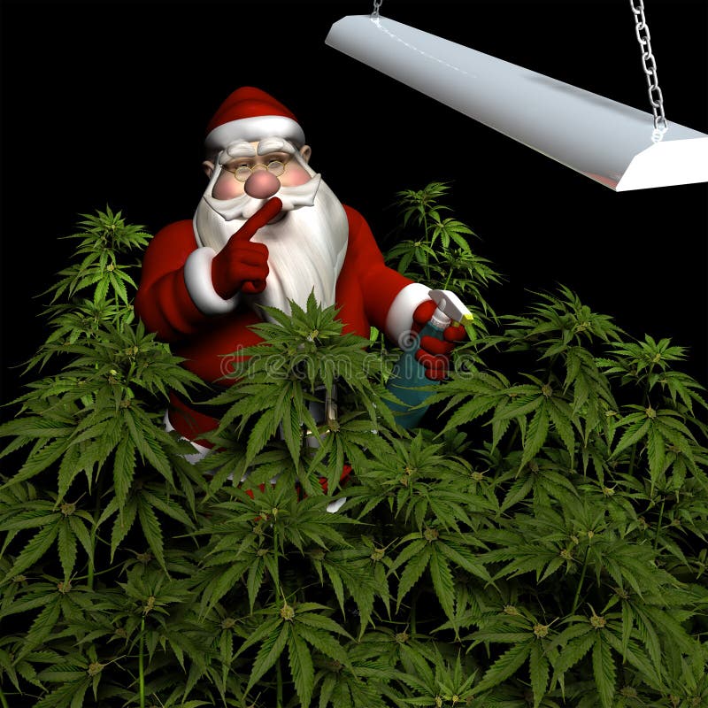 Санта с марихуаной картинки оп героина оригинал слушать онлайн