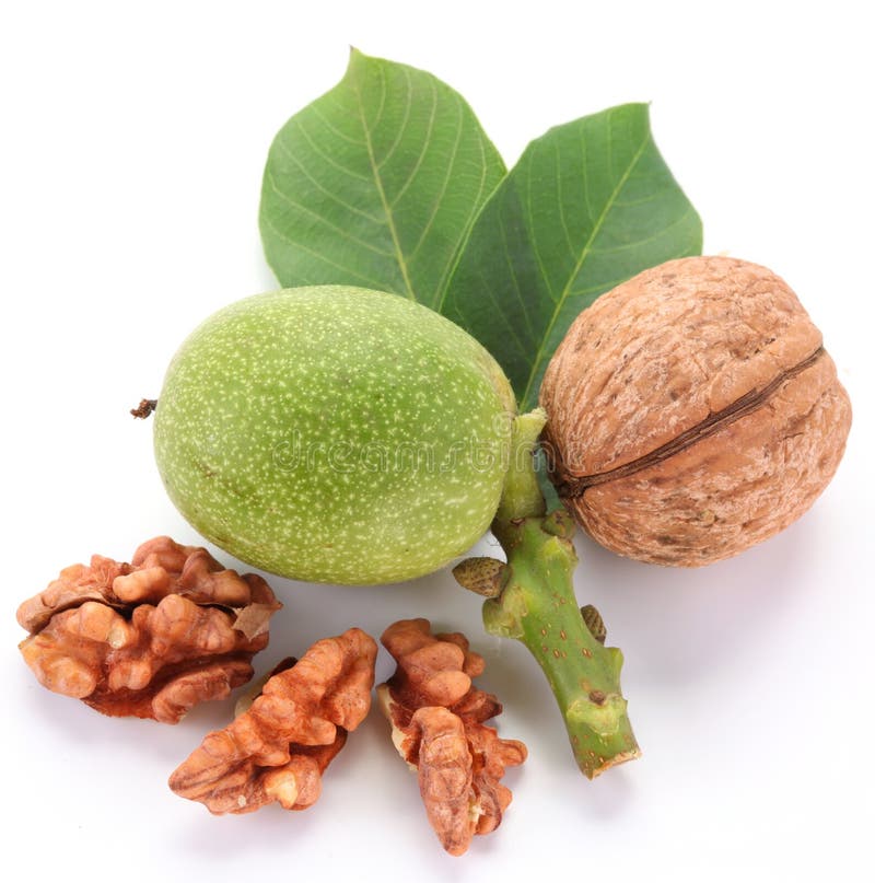 Green walnut; peeled walnut and its kernels. Isolated on a white background. Green walnut; peeled walnut and its kernels. Isolated on a white background.