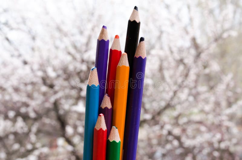 Покрашенные карандаши с покрашенными нашивками затем Цвета природы Crayons с цветя абрикосами на предпосылке Природа создается стоковые фото Покрашенные карандаши с покрашенными нашивками затем Цвета природы Crayons с цветя абрикосами на предпосылке Природа создается стоковые фото