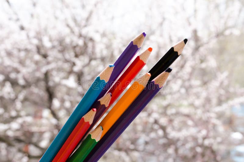 Покрашенные карандаши с покрашенными нашивками затем Цвета природы Crayons с цветя абрикосами на предпосылке Природа создается стоковое фото rf Покрашенные карандаши с покрашенными нашивками затем Цвета природы Crayons с цветя абрикосами на предпосылке Природа создается стоковое фото rf