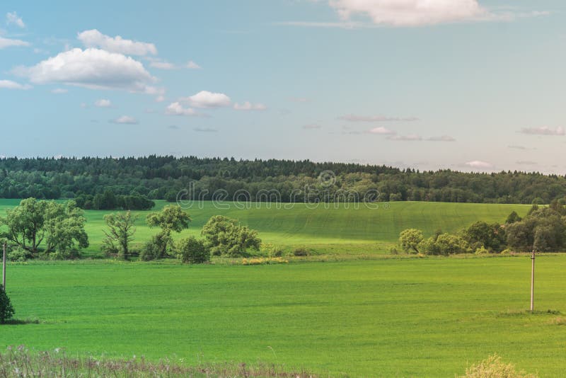 Very colorful european russian summer landscape with a lots of trees, treeline on background and clear fields, bushes cloudy blue bright sky, hills on the left, river in the middle, trees in front and golden sunny tilt on the right. Perfect for Background, almanac or a magazine. Very colorful european russian summer landscape with a lots of trees, treeline on background and clear fields, bushes cloudy blue bright sky, hills on the left, river in the middle, trees in front and golden sunny tilt on the right. Perfect for Background, almanac or a magazine.