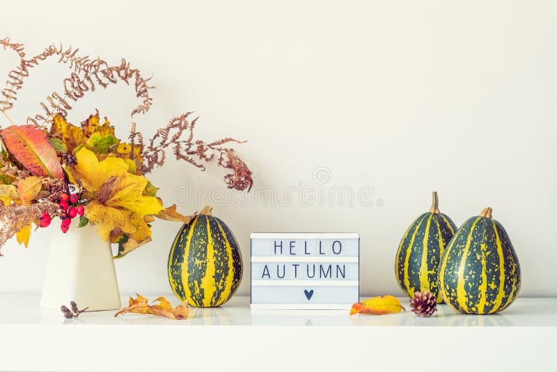 Поле с текстом HELLO AUTUMN, декоративные полосатые насосы и ваза с букетом падающих листьев и паром на белой груди, стол стоковое фото rf