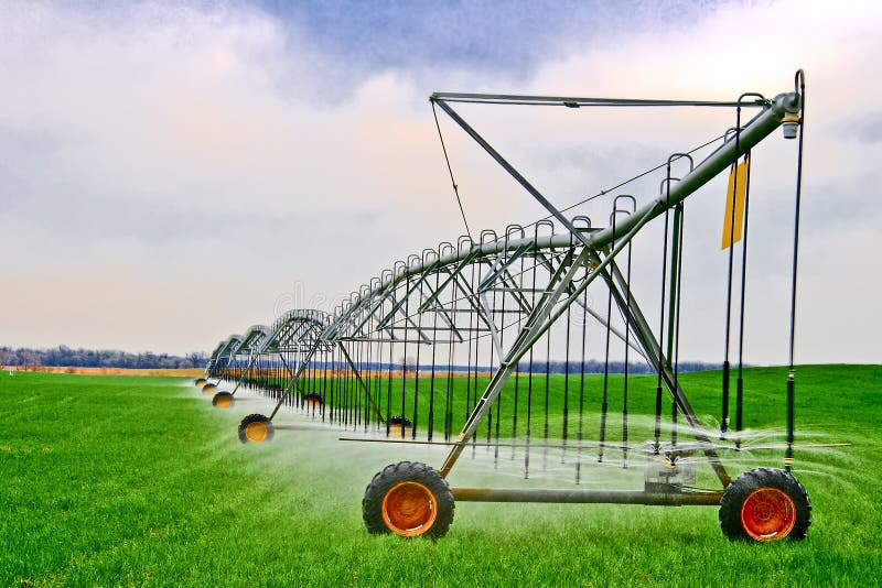 Large scale irrigation of a winter wheat field. Large scale irrigation of a winter wheat field