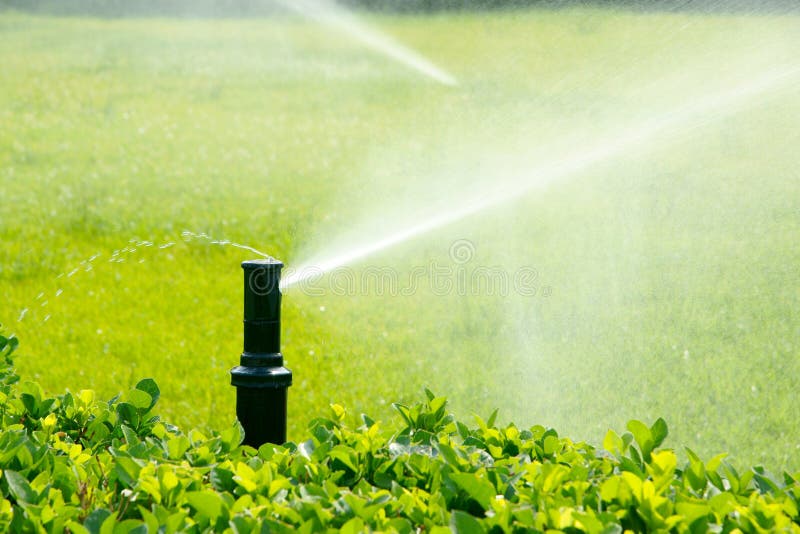 Garden spray irrigation system is working. Garden spray irrigation system is working.