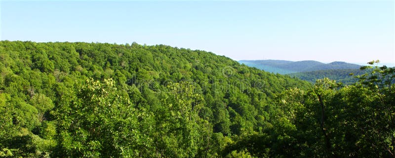 The vast forested lands of Monte Sano State Park in Alabama. The vast forested lands of Monte Sano State Park in Alabama.