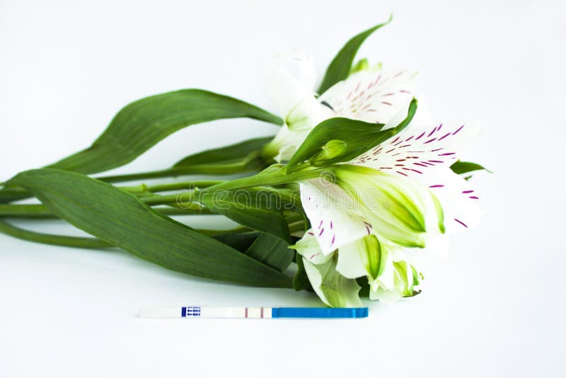 Положительный тест на беременность с букетом белых цветков alstroemeria стоковое фото Положительный тест на беременность с букетом белых цветков alstroemeria стоковое фото