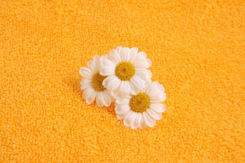 Yellow towel and nice marigolds - body care. Yellow towel and nice marigolds - body care