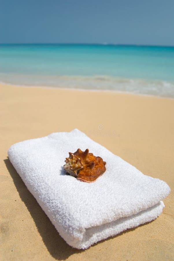Photo of a shell with towel on beach. Photo of a shell with towel on beach.