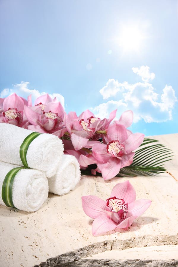 Fresh Orchid and Towel in Spa Display. Fresh Orchid and Towel in Spa Display