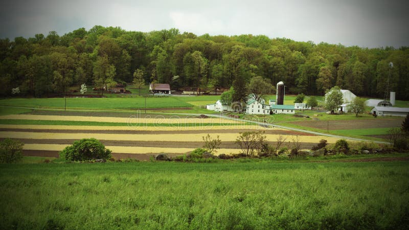 Поля Lancaster County стоковые фотографии rf