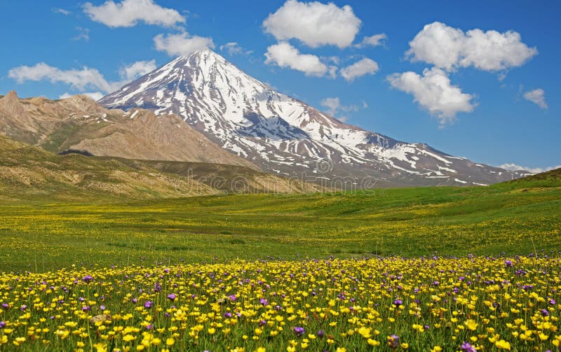 Поля горы и цветка Damavand стоковые изображения rf Поля горы и цветка Damavand стоковые изображения rf