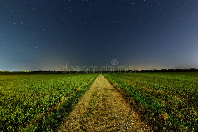 A farm road where a cat sits under the twinkling stars in the night sky. Summer season scenery. The lights of cars on the highway shine brightly in the background. A farm road where a cat sits under the twinkling stars in the night sky. Summer season scenery. The lights of cars on the highway shine brightly in the background.