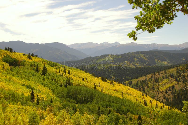 Scenic view of forested mountain range in autumn, Colorado, U.S.A. Scenic view of forested mountain range in autumn, Colorado, U.S.A.