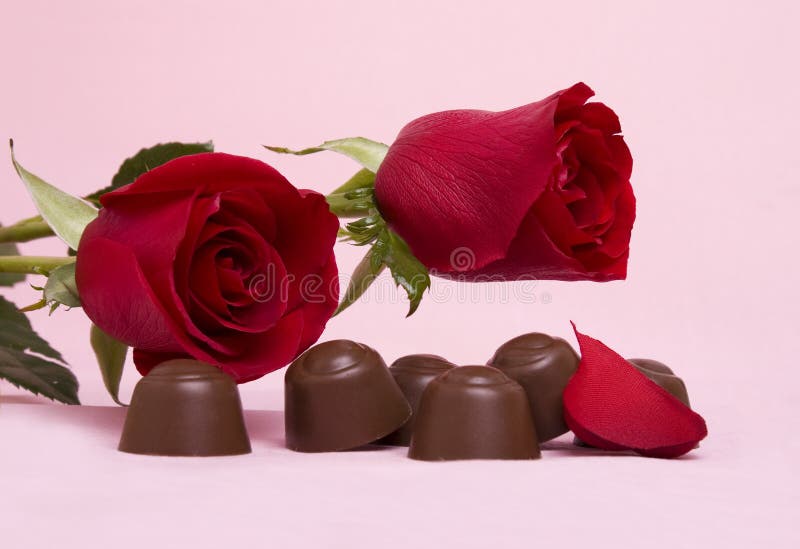 Two beautiful red roses with chocolates on a pink background. Two beautiful red roses with chocolates on a pink background