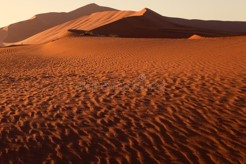 Orange dune in Namib desert (Namibia) during sunset. Orange dune in Namib desert (Namibia) during sunset