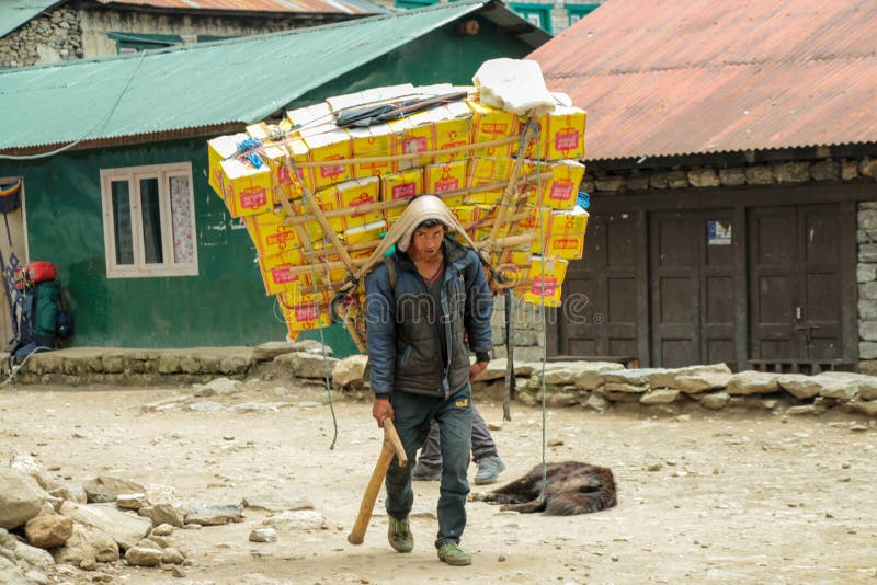 Портер Sherpa нося тяжелый груз в Непале стоковые фотографии rf Портер Sherpa нося тяжелый груз в Непале стоковые фотографии rf