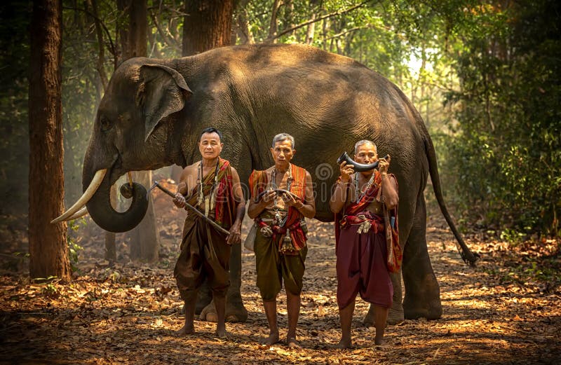 Портрет mahout слона Люди Kuy Kui Таиланда Ритуал слона делая или дикий улавливая слона Mahout и стоковое фото rf Портрет mahout слона Люди Kuy Kui Таиланда Ритуал слона делая или дикий улавливая слона Mahout и стоковое фото rf
