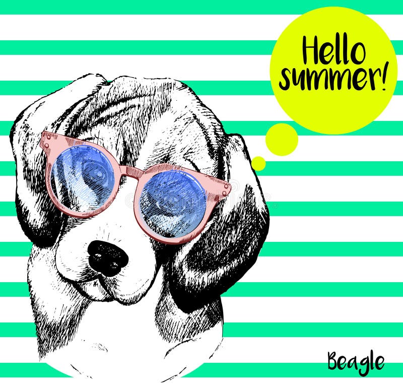 Портрет вектора бигля, с sunglassess Здравствуйте! лето Нарисованная рукой иллюстрация собаки на прокладках зеленого цвета мяты бесплатная иллюстрация