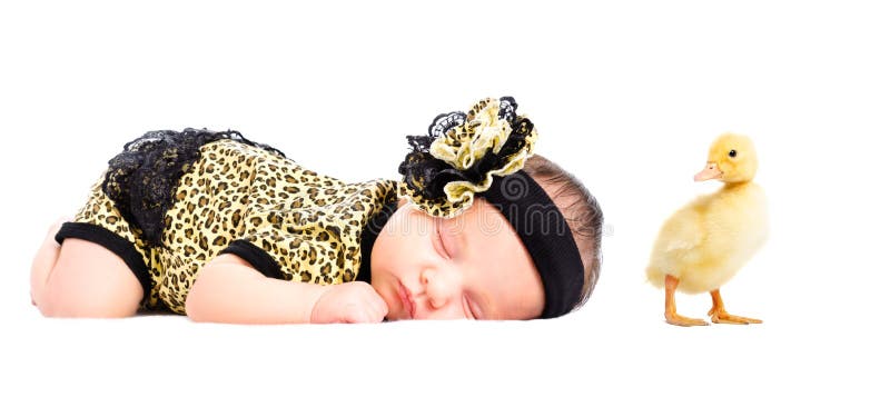 Портрет милой newborn девушки и утенка стоковые изображения rf Портрет милой newborn девушки и утенка стоковые изображения rf