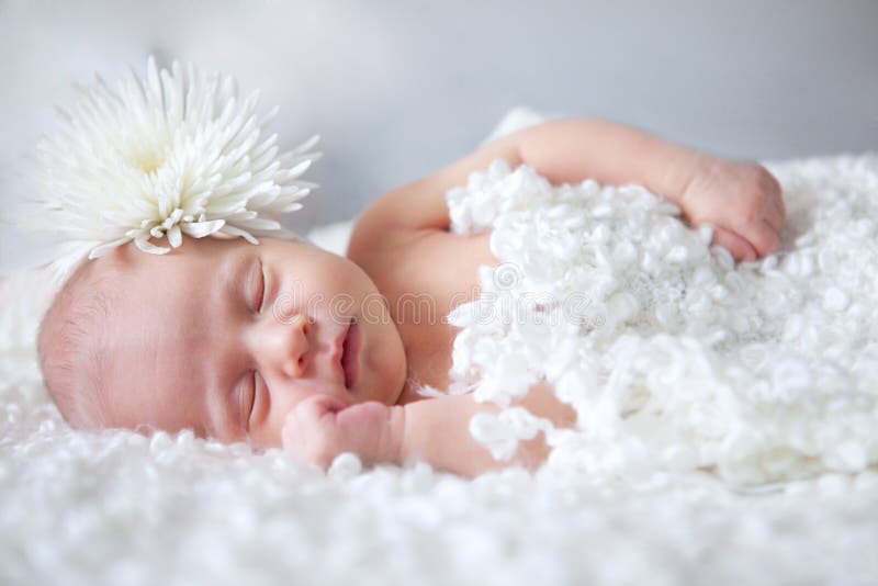 Портрет спать newborn младенца стоковое изображение Портрет спать newborn младенца стоковое изображение