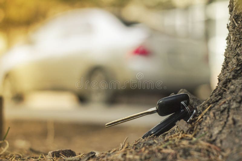 Потерянные ключи автомобиля на упаденных иглах голубого спруса заднее bokeh предпосылки нерезкости стоковая фотография Потерянные ключи автомобиля на упаденных иглах голубого спруса заднее bokeh предпосылки нерезкости стоковая фотография