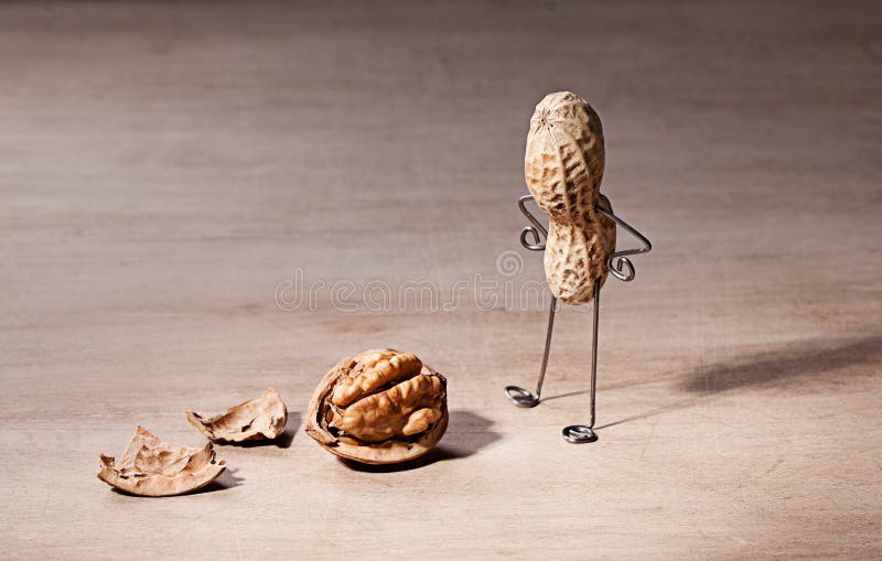 Miniature with Peanut Man and Walnut Brain. Miniature with Peanut Man and Walnut Brain