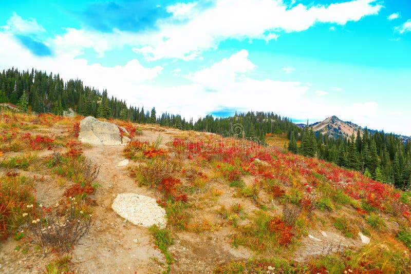 Поход падения на национальном парке Mount Rainier, Вашингтоне стоковое изображение rf Поход падения на национальном парке Mount Rainier, Вашингтоне стоковое изображение rf