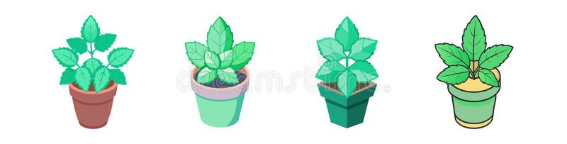 Правообладатель иллюстрации Green Leaves Pot бесплатная иллюстрация