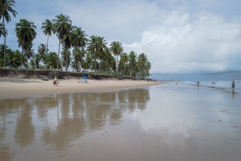 Прая делает Paiva, Pernambuco - Бразилию стоковое фото Прая делает Paiva, Pernambuco - Бразилию стоковое фото
