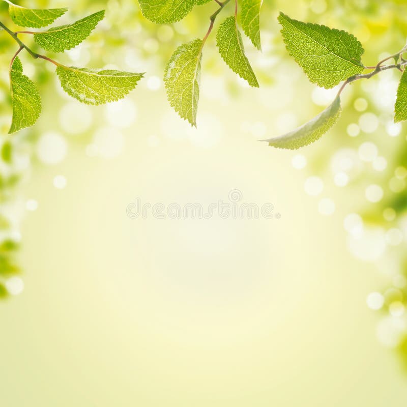 Предпосылка лета весны с зелеными листьями, светом и bokeh стоковая фотография Предпосылка лета весны с зелеными листьями, светом и bokeh стоковая фотография