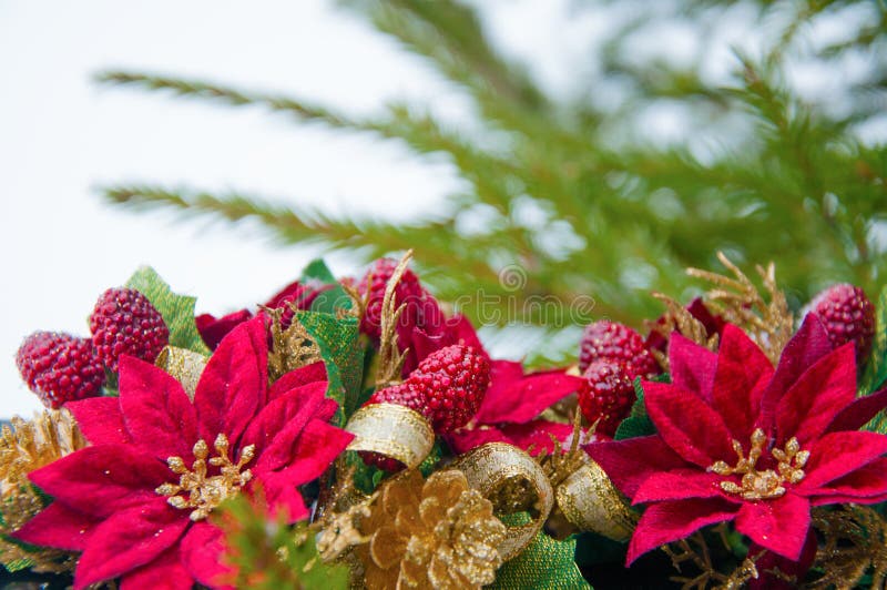 Предпосылка рождества с елью разветвляет, падуб, ленты золота и цветки poinsettia стоковое фото rf Предпосылка рождества с елью разветвляет, падуб, ленты золота и цветки poinsettia стоковое фото rf