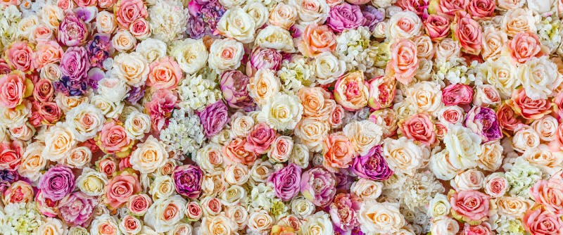 Предпосылка стены цветков с изумляя красным цветом и белыми розами, Wedding украшением, ручной работы стоковая фотография Предпосылка стены цветков с изумляя красным цветом и белыми розами, Wedding украшением, ручной работы стоковая фотография