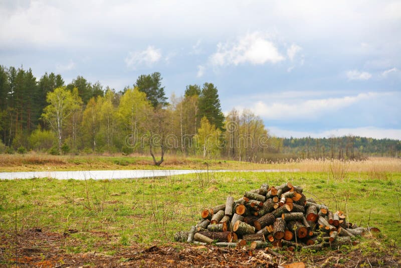 Природа северной России ландшафт с лесом, рекой, поймой реки и riverine лугом Куча швырка стоковое фото rf Природа северной России ландшафт с лесом, рекой, поймой реки и riverine лугом Куча швырка стоковое фото rf
