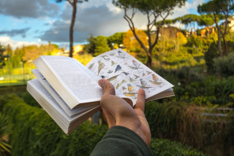 Bird Identification field guide in hand walking in Nature. Bird Identification field guide in hand walking in Nature