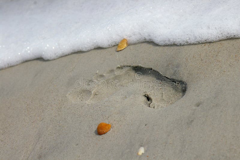 Foot print in the sand with sea-foam and shells. Foot print in the sand with sea-foam and shells