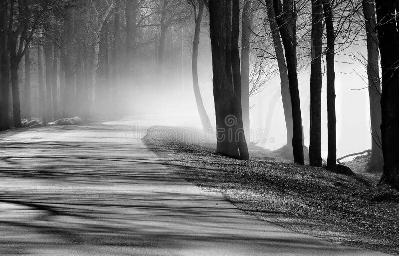 Прогулка утра в тумане стоковая фотография Прогулка утра в тумане стоковая фотография