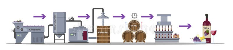 Wine production process. Fermentation, distillation, pressing, aging and bottling alcohol drink. Wooden barrel with wine. Isolated vector flat illustration. Wine production process. Fermentation, distillation, pressing, aging and bottling alcohol drink. Wooden barrel with wine. Isolated vector flat illustration
