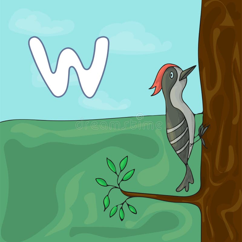Проиллюстрированное письмо w алфавита и woodpecker Мультфильм вектора изображения книги ABC Характер Woodpecker на дереве бесплатная иллюстрация Проиллюстрированное письмо w алфавита и woodpecker Мультфильм вектора изображения книги ABC Характер Woodpecker на дереве бесплатная иллюстрация