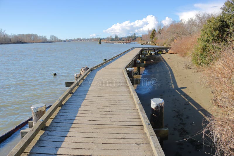 The south Fraser River and a boardwalk following the banks. The south Fraser River and a boardwalk following the banks.