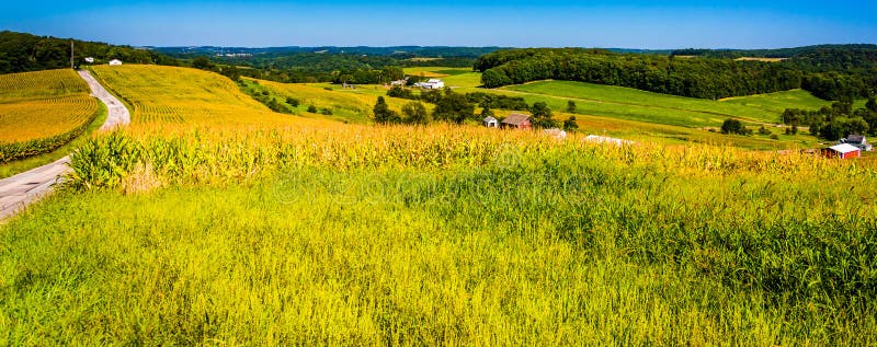 Проселочная дорога и взгляд полей фермы и Rolling Hills в Йорке c стоковая фотография