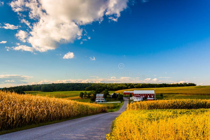 Проселочная дорога и взгляд фермы в сельском York County, Pennsylvan стоковое фото