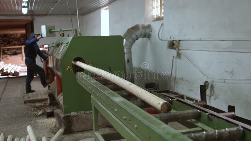 Процесс человека контролируя woodworking на cylindering машине Индустрия тимберса