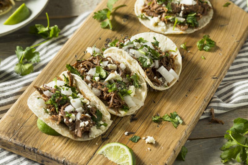 Пряные домодельные тако Barbacoa говядины стоковые изображения