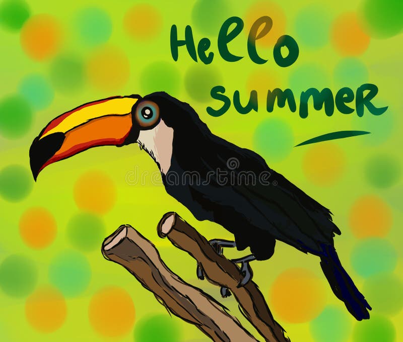 Птица Toucan на красочной предпосылке, здравствуйте! лето бесплатная иллюстрация