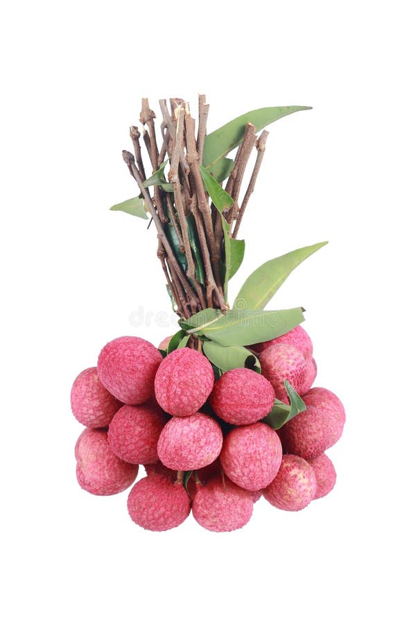 пук lychees изолированных на белизне стоковое фото rf