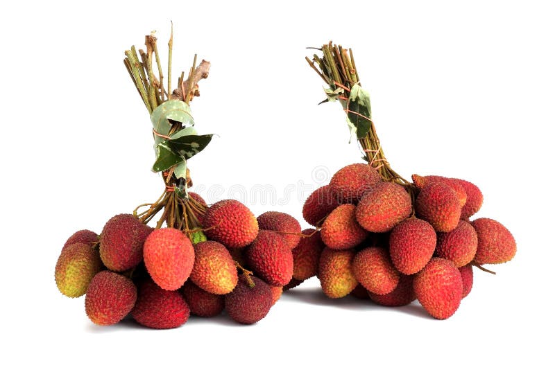 2 пука свежих lychees изолированных на белизне стоковые фотографии rf