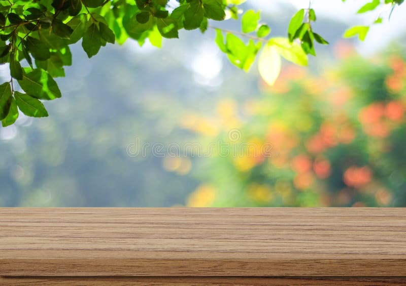 Пустая деревянная таблица над запачканными деревьями с предпосылкой bokeh