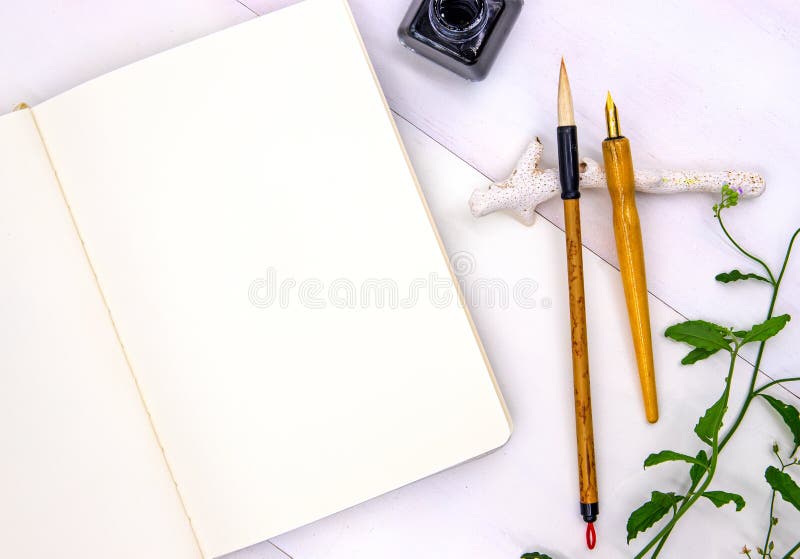 Пустая страница sketchbook с инструментами каллиграфии и зеленой листвой Фото взгляда сверху тетради на белой предпосылке стоковое изображение rf Пустая страница sketchbook с инструментами каллиграфии и зеленой листвой Фото взгляда сверху тетради на белой предпосылке стоковое изображение rf